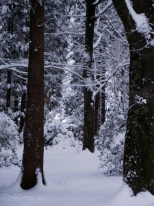Taken by ECvW 2011 in Machynlleth.