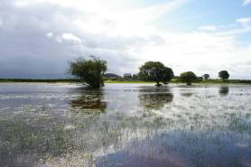 brechfa pool after a storm