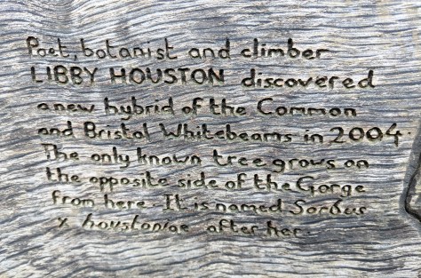 Maker:S,Date:2017-10-19,Ver:6,Lens:Kan03,Act:Lar02,E-Y